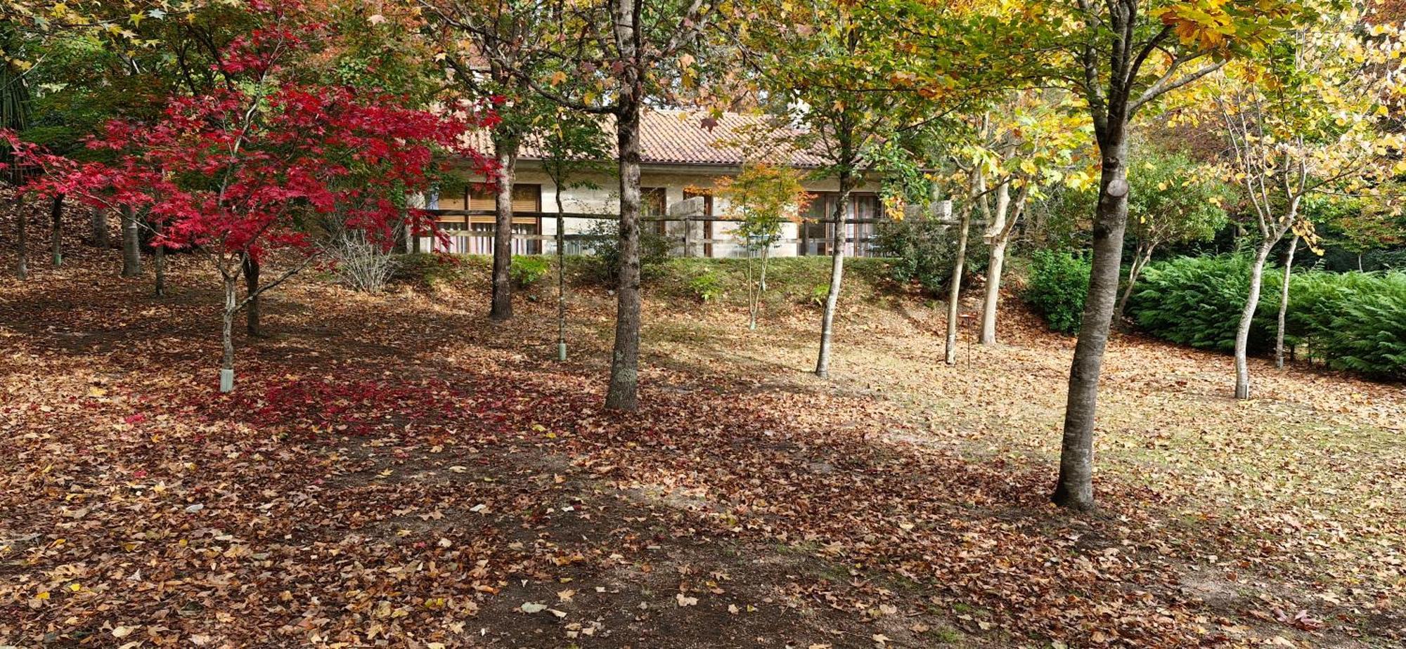 Bungalows - Serra Do Geres Campo do Geres Exterior photo